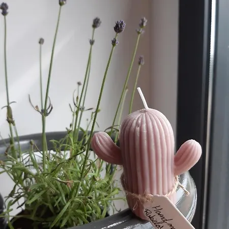 Casa Gargallo Ii Rubielos De Mora